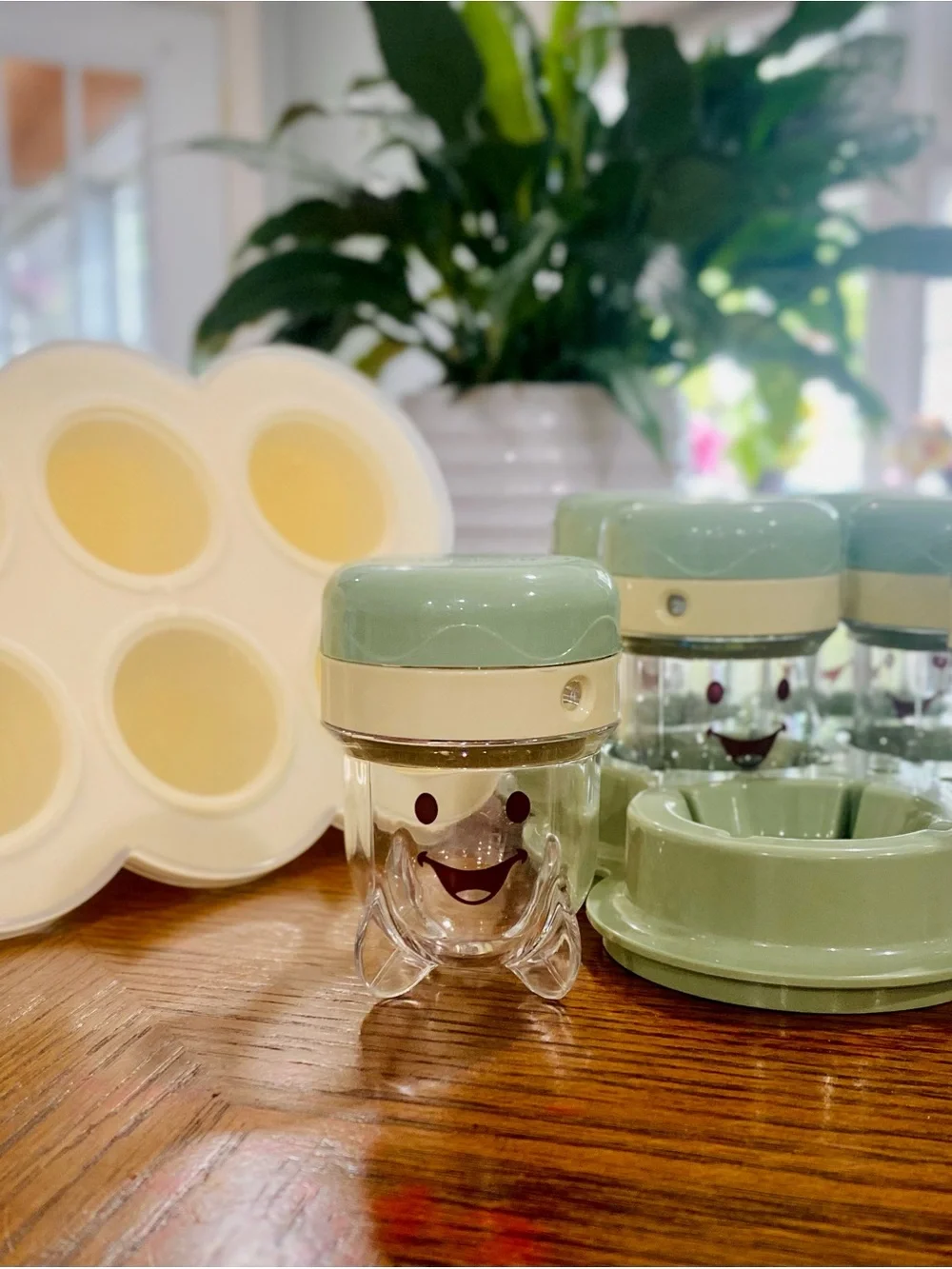 Baby Bullet Baby Food Maker Set in Sage Green